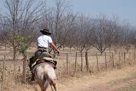 Horse riding holidays in argentina. Horse Riding In Argentina Sayta Ranch Salta The Discoveries Of