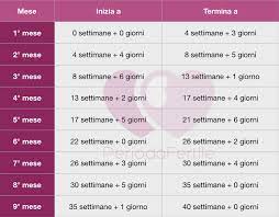 La quinta settimana di gravidanza sta a significare che poco più di un mese è passato. Corrispondenza Mesi E Settimane Di Gravidanza