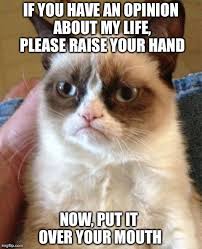Pin By Dree Patrick Sexton On Grumpy Cat Grumpy Cat Humor Grumpy Cat Quotes Grumpy Cat Meme