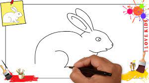 Let the cat and rabbit interact through the cage every day. How To Draw A Rabbit Simple Easy Step By Step For Kids Beginners Youtube