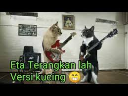 Dangdut Koplo Eta Terangkanlah Versi Kucing Di 2020 Kucing Foto Lucu Lucu