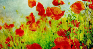 The Art Of Resistance Pablo Neruda S Poems Are Timeless Protest Anthems