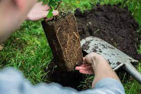After you've filled the bottom of your planter with your filler material, cover the materials with a piece of landscape fabric. How To Plant Flowers Advice And Tips For Perennials And Annuals