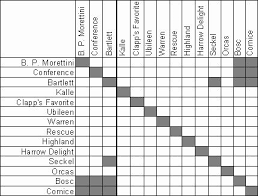 Most fruit trees require pollination between two or more trees for fruit to set. 10 Pollination Ideas Pollination Types Of Fruit Fruit