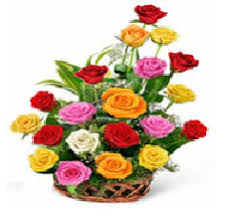 We did not find results for: Flowers Basket For Hyderabad India Delivered Same Day By Local Flower Basket Flower Basket Delivery Hyderabad
