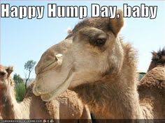 Instant sound effect button of hump day camel. 31 Hump Day Ideas Hump Day Wednesday Hump Day Hump Day Humor