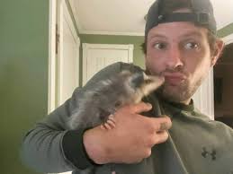 Sorry Claudio, this is unrelated to you but... my adopted baby possum is  doing well! Probably cause of my Good Apollo energy. :]