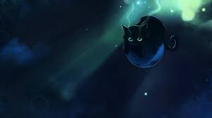 1x magic cat bottle illustration, digital wallpaper for your phone. Magic Cat Wallpapers Top Free Magic Cat Backgrounds Wallpaperaccess