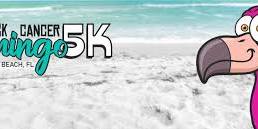 Flamingo 5K
