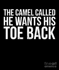 Definition of camel toe in the idioms dictionary. The Camel Called He Wants His Toe Back Funny Saying Drawing By Noirty Designs