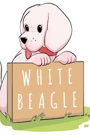 White Beagle What To Expect From This Non Standard Coat Color