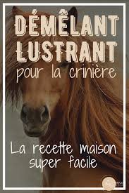 La Recette Du Demelant Maison Avec 2 Ingredients Naturels En 2020 Equitation Naturelle Cheval Cheval Galop