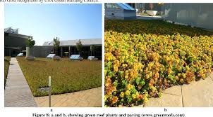 We work with home and commercial property owners in the area. Pdf An Evaluation Of Green Roofing In Buildings Semantic Scholar