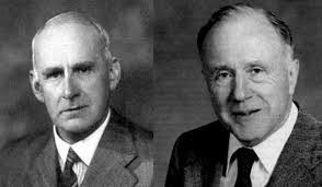 Dual Aspect Monism and the Participatory Universe of Eddington and Wheeler 