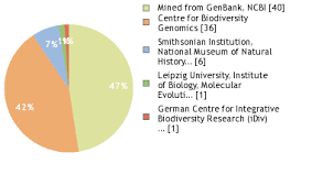 Image result for Warneckea sansibarica