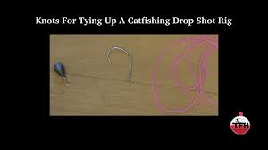 This is where the weight will be attached, lonchar says. Catfish Rig Knots Bait Drop Shot Rig Youtube