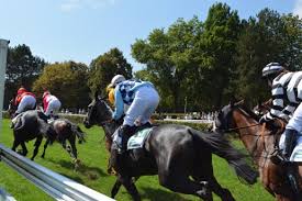 green turf horse racing zurich switzerland swissglam ch horse racing horses racing