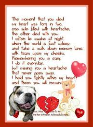 Pin By J H On For Work Pet Loss Quotes Miss My Dog Dog Poems