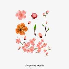 Il Vettore Di Rosa Fiori Di Pesco Rosa Fiore Di Pesco Fiore Immagine Png E Clipart Per Il Download Gratuito Fiori Di Pesco Fiori Ad Acquerelli Sfondo Rosa