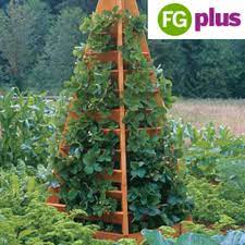 Check spelling or type a new query. How To Build A Strawberry Tower Finegardening