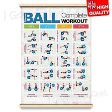 Gym Workout Professional Total Body Fitness Wall Chart