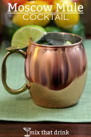 Moscow Mule Classic Cocktail Mix That Drink Recipe Classic Cocktails Moscow Mule Drink Recipes Ginger Beer