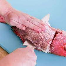 How To Fillet A Whole Fish How To Finecooking Fillet Cooking Techniques Fish