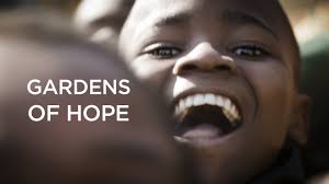 Why The Waterberg in South Africa