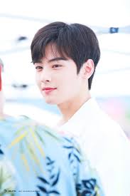 Pemeran karakter suho dalam drama korea terbaru true beauty ini. Korean Fans Have Discovered Astro Eunwoo S Visual Equal Koreaboo Cha Eun Woo Astro Cha Eun Woo Astro
