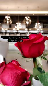 همسه النقاشات بين المحبين ينهزم فيها الأكثر حبا وليس الأقل حجة عزل بورتريه ورد Medical Quotes Arabic Love Quotes Love Words