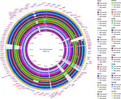 The virulence factor database (vfdb) is an integrated and comprehensive online. Comparative Genomics Of Clinical Strains Of Pseudomonas Aeruginosa Strains Isolated From Different Geographic Sites Scientific Reports