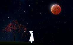 Under the Crimson Moon - Partial Lunar Eclipse