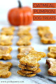 Homemade means customisability, which gives you the chance to opt for healthier ingredients. Oatmeal Pumpkin Dog Treat Recipe Pook S Pantry Recipe Blog