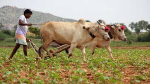 Making a large down payment can reduce your a smaller down payment is appealing for one obvious reason: Rajasthan Bjp Goes All Out To Reap Farm Loan Waiver Benefits