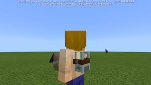 This addon contains a huge 4d skin pack. Skins 4d And Armors 4d Addon 1 16 100 Minecraft Pe Mods Addons