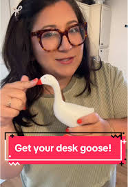 Classroom goose school subject outfit drop 🧪 has been added to the bu...