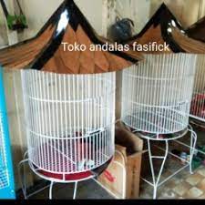 Berbagai macam pilihan kandang untuk burung beo tersedia untuk anda, seperti bernapas, berkelanjutan, dan tahan angin. Jual Kandang Burung Beo Terlengkap Terbaik Harga Murah August 2021