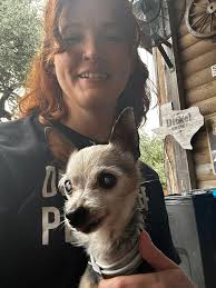 Lost 4 lbs dog near 281 and 46?