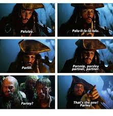 Parley Pirates Of The Caribbean Jack Sparrow Funny Captain Jack Sparrow