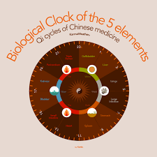 Consider the chinese medicine meridian clock to help resolve digestive issues. 5 Elements Of Chinese Medicine