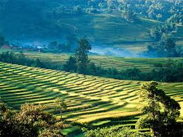 Akysh saparow — yol 03:00. Vietnam Asialink Holidays