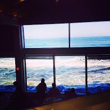 The most unique waterfront dining experience is at the marine room restaurant in la jolla. Morning High Tide Picture Of The Marine Room La Jolla Tripadvisor