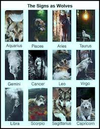 The Signs As Wolves Zodiacsigns The Signs As Wolves Wolves Zodiac Funny Zodiac Signs Animals Zodiac Signs Gemini Zodiac Signs Sagittarius