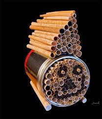 Insektennisthilfe Insektenhotel Nisthilfe Dose Konservendose Insect Nesting Aid Insect Hotel Mason Bee Tin Can Reed Straws Wildbienen Insektenhotel Bienen