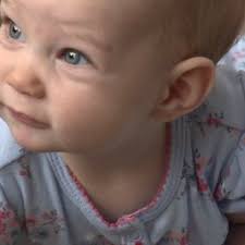 THE BEST 10 CHIROPRACTORS near ALBIA, IA