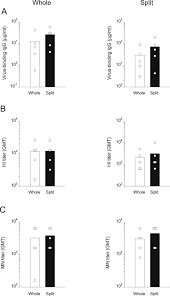Gmt ↔ eastern standard time. Efficient Protection Of Mice From Influenza A H1n1pdm09 Virus Challenge Infection Via High Avidity Serum Antibodies Induced By Booster Immunizations With Inactivated Whole Virus Vaccine Sciencedirect