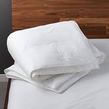 Check spelling or type a new query. Hypoallergenic Down Alternative Duvet Inserts Cb2