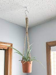 Hook to hang a 10w led from a joist. Two Ways To Install A Ceiling Hook For Plants Pretty Handy Girl