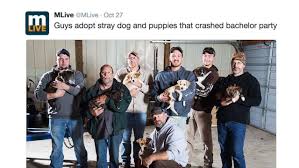 An uninvited guest at a bachelor party turned the bash into an adoption event. Bachelor Party Adopts 7 Puppies After Stray Dog Wanders In Good News Network