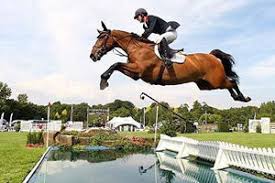 Bref, un métier d'élite réservé à quelques élus ! 5 Metiers Pour Les Passionnes Des Chevaux Jobat Be